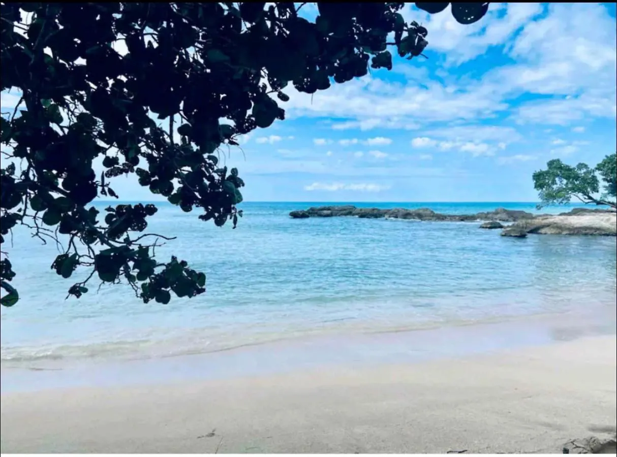 Natalia'S Sweet Oasis Apartment Lucea Jamaica